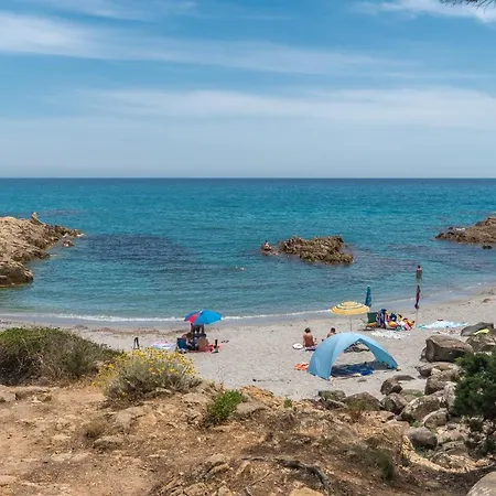 Ginepro Cala Liberotto